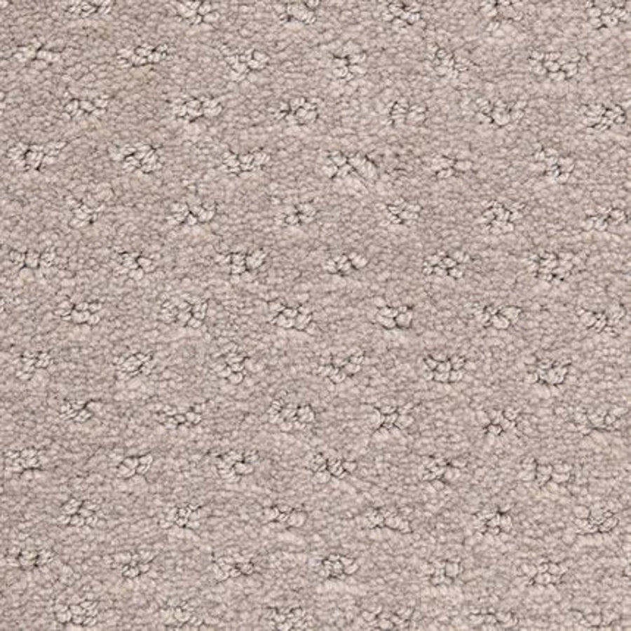 Close-up of Dreamer On Trend Carpet in Fallow, showing its plush beige fibers and subtle dotted pattern with small, evenly spaced raised loops for a luxurious textured flooring finish.