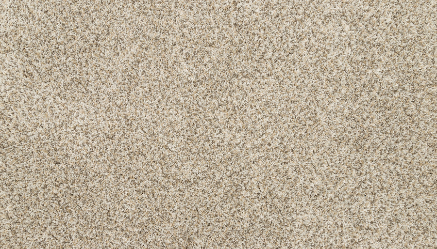 Close-up of Furocious I Pet Friendly Carpet—a beige carpet with a plush, slightly speckled texture, perfect for pet-friendly interior design.