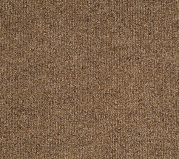 Close-up of Windsurf Pet Friendly Carpet in Fawn color, showing a soft, densely woven, and textured surface with an even pattern. The design offers both style and comfort for any pet-friendly home.