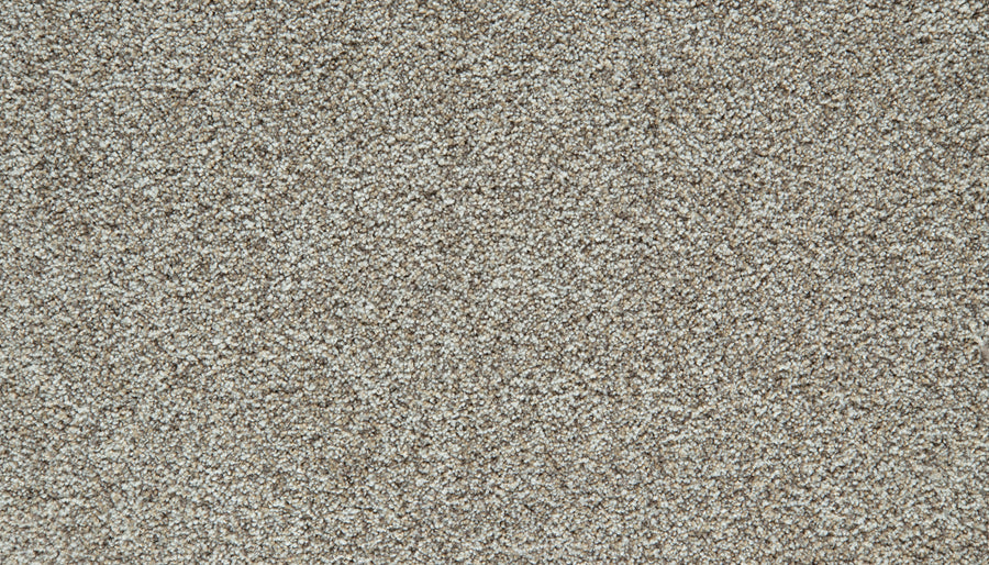 Close-up view of Cozy Companion Pet Friendly Carpet in Fawn, showcasing its textured, looped pile surface. This durable carpet features fibers that appear soft and densely packed, creating a uniform and neutral background.