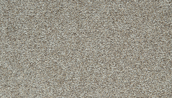 Close-up view of Cozy Companion Pet Friendly Carpet in Fawn, showcasing its textured, looped pile surface. This durable carpet features fibers that appear soft and densely packed, creating a uniform and neutral background.