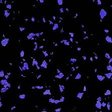 Scattered irregular blue shapes on a black background resemble interlocking tiles or digital particles, evoking the look of the Fitness Flooring 4x25 High Performance Rubber Roll.