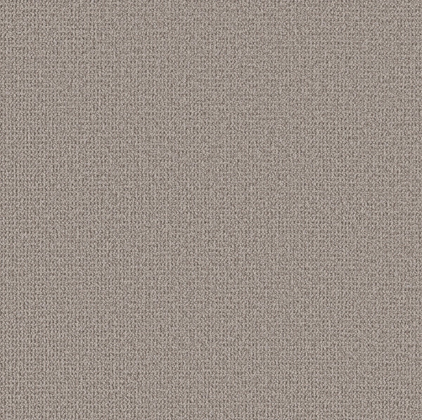 Close-up of Purrfection Beber Carpet in Flagstone, highlighting its detailed knit pattern with small, even loops and threads for a plush, luxurious texture.