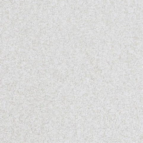 Close-up of Boca Raton Family Friendly Carpet in Forever color—a smooth, light gray surface with fine texture. Crafted from premium materials for durability, it’s ideal for stylish, family-friendly contemporary flooring.