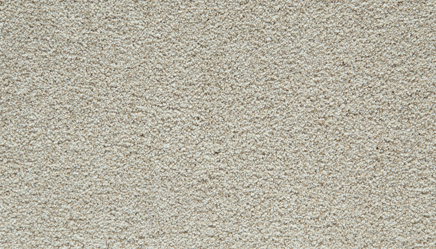 Close-up of a Frosted Almond, textured Cozy Companion Pet Friendly Carpet featuring a soft, plush surface.