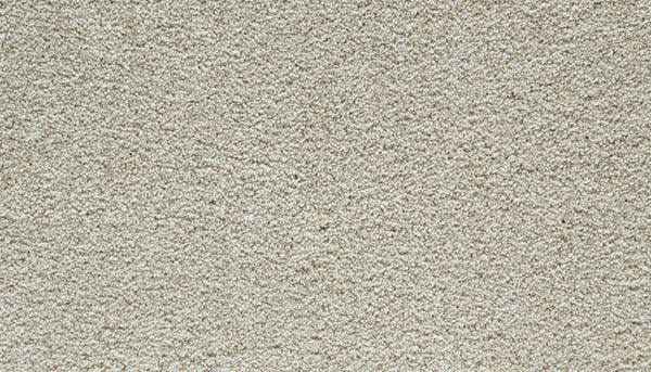 Close-up of a Frosted Almond, textured Cozy Companion Pet Friendly Carpet featuring a soft, plush surface.