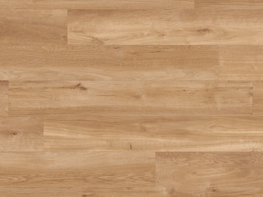 Van Gogh Glue 7" Vinyl Plank in French Oak features a light brown hue with natural wood grain and subtle knots, arranged in a staggered pattern. It's ideal for high-traffic areas, providing a warm, smooth look.