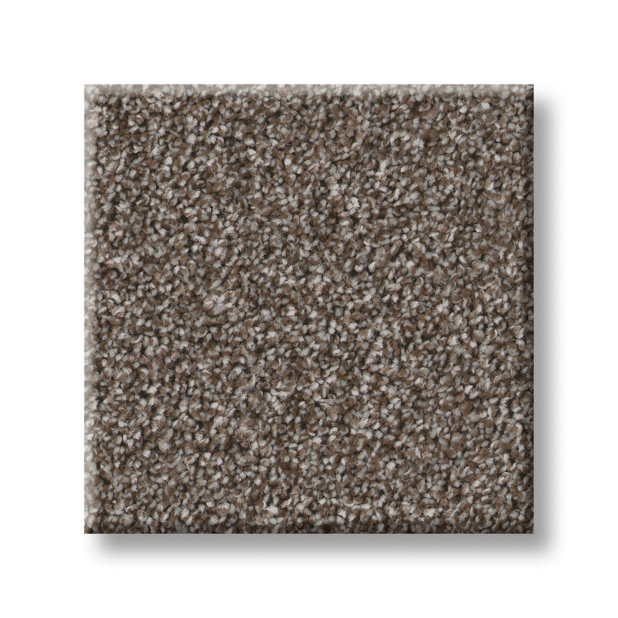 A square sample of Imaginable I Family Friendly Carpet in the French Roast color, featuring a textured surface in mixed brown and gray tones, sits on a white background.