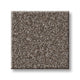 Imaginable I Family Friendly Carpet - French Roast