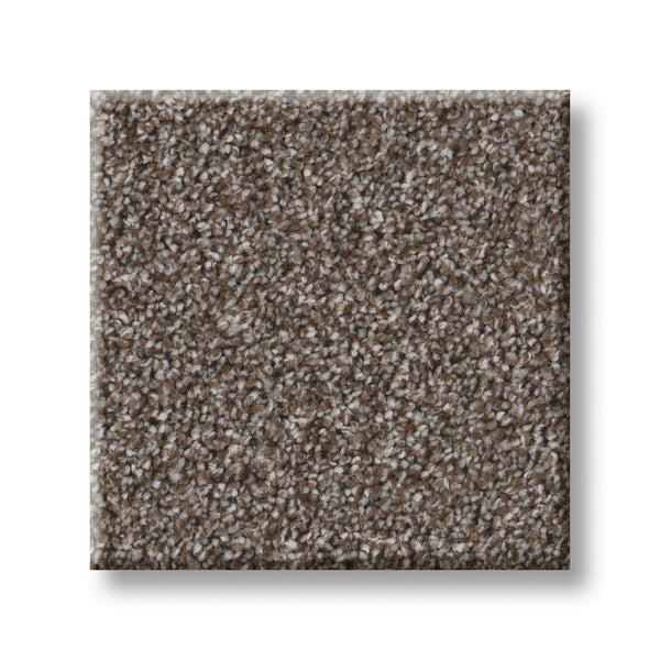 A square sample of Imaginable I Family Friendly Carpet in the French Roast color, featuring a textured surface in mixed brown and gray tones, sits on a white background.