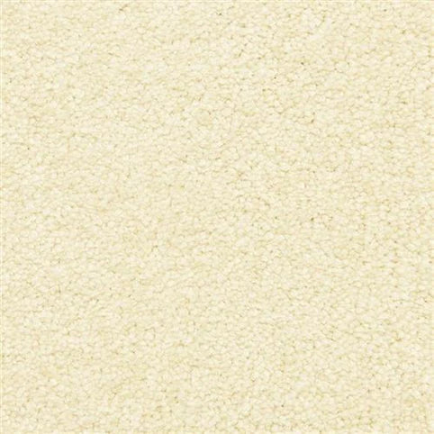 Close-up of the Morgan Bay Family Friendly Carpet in Fresco, featuring soft, tightly packed fibers and a uniform look—perfect for busy homes.