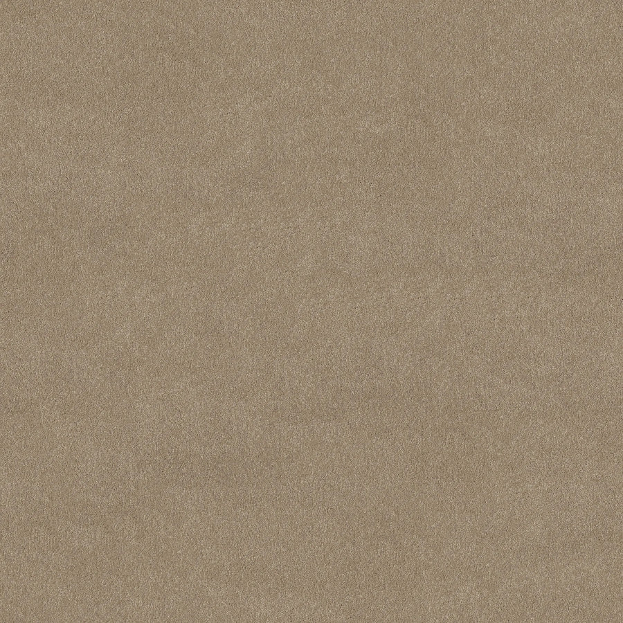 A close-up of the Awaken Spirit Pet Friendly Carpet in Fresco color displays a flat, even surface with fine, smooth texture—blending natural comfort and contemporary style.