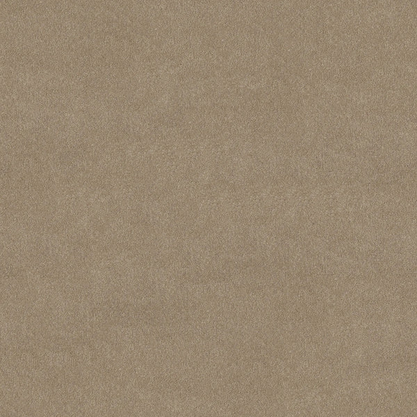 A close-up of the Awaken Spirit Pet Friendly Carpet in Fresco color displays a flat, even surface with fine, smooth texture—blending natural comfort and contemporary style.