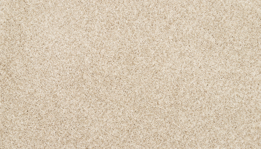 Close-up view of Furocious I Pet Friendly Carpet in beige, featuring a soft, plush texture and a consistent pattern of densely packed fibers—an ideal choice for enhancing any interior design.