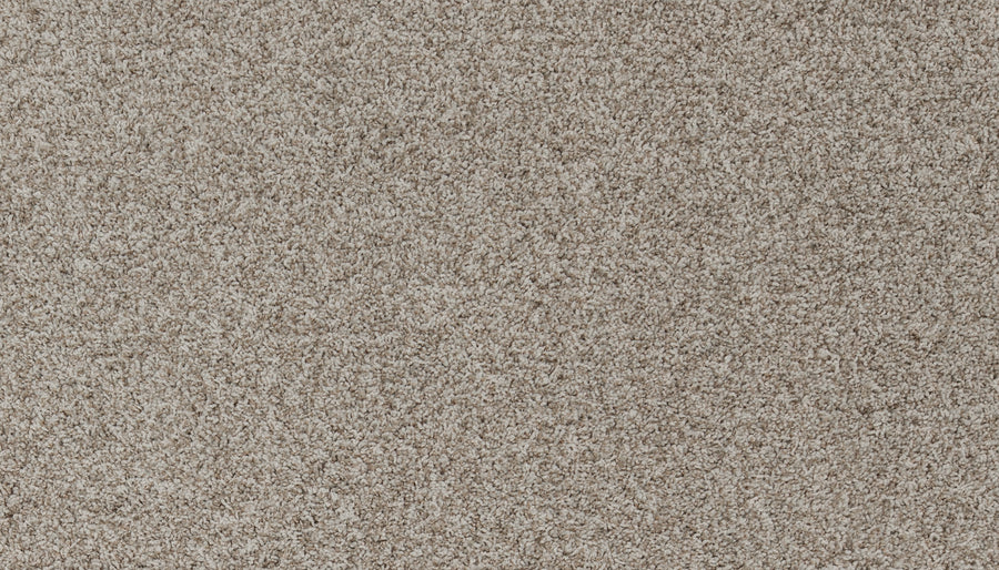 Close-up of Aurelia Pet Friendly Carpet in beige, featuring a soft, textured surface and dense, uniform fibers—ideal for premium flooring in any room.