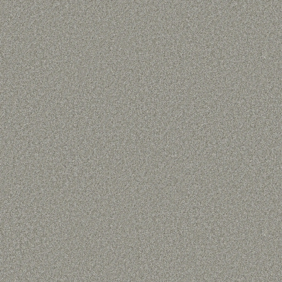 A close-up of the You Got This III Pet Friendly Carpet in Frosted highlights its textured, grainy surface with small gray specks, creating a durable and stone-like appearance.