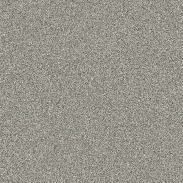 A close-up of the You Got This III Pet Friendly Carpet in Frosted highlights its textured, grainy surface with small gray specks, creating a durable and stone-like appearance.