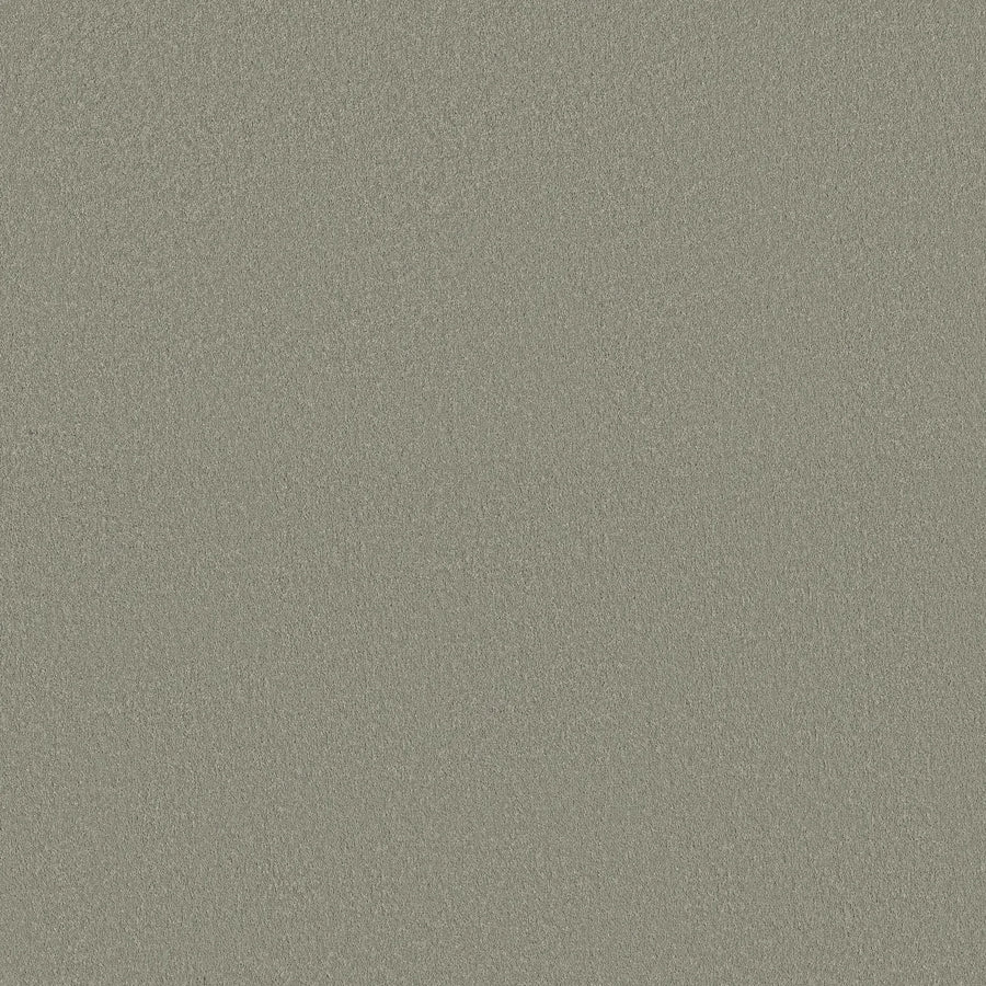 A close-up of Smooth Tone Pet Friendly Carpet in Frosted Sage shows a light gray surface with a consistent, subtle grain pattern, offering both durability and an elegant textured look.