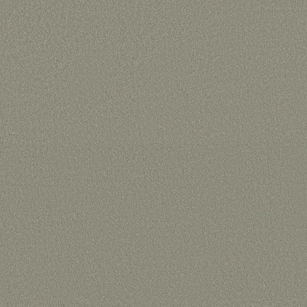 The Smooth Tone Blue Pet Friendly Carpet in Frosted Sage features a light gray surface with a subtle, fine grain pattern and a hint of blue, evenly distributed throughout.