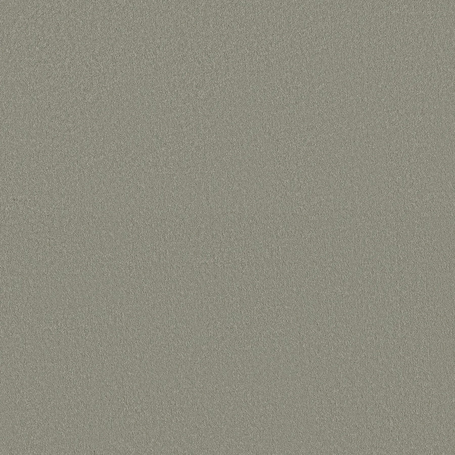 Close-up of the Classic Tone Pet Friendly Carpet in Frosted Sage, showcasing its fine, grainy texture—an ideal choice for those seeking a durable, stain-resistant surface.