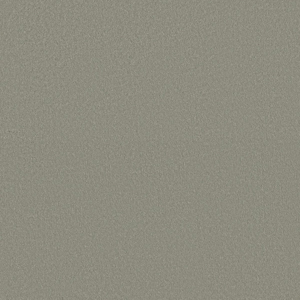 A close-up view of the Classic Tone Blue Pet Friendly Carpet in Frosted Sage, showing its smooth, light gray matte texture resembling fine sandpaper or stone.