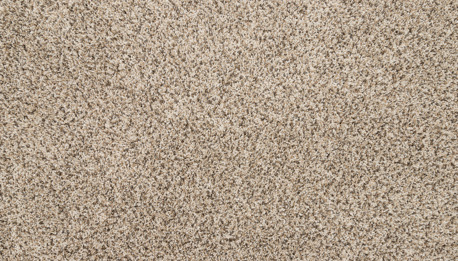 Close-up view of Furocious I Pet Friendly Carpet in beige, featuring a plush texture and dense, tightly woven fibers—perfect for modern interiors with pets.