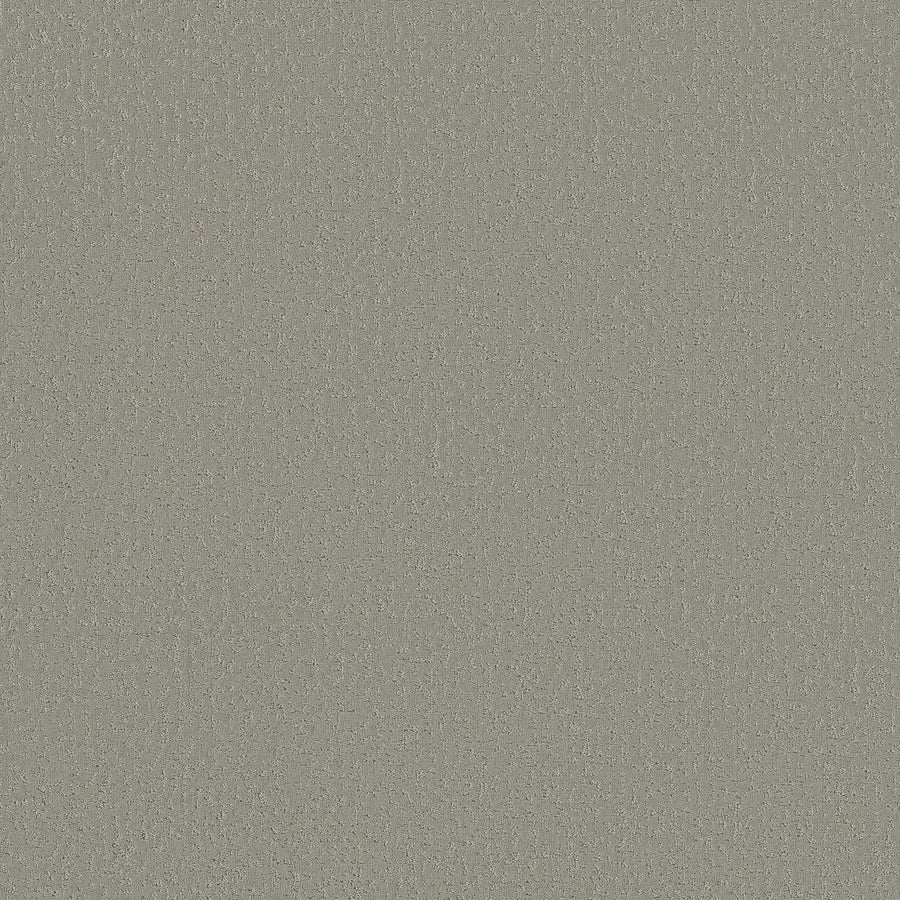A close-up of Crafted Tone Blue Pet Friendly Carpet in Frosted Sage, showcasing its light gray textured surface with a subtle, even pattern and slight shading variations—ideal for stain resistance and durability.