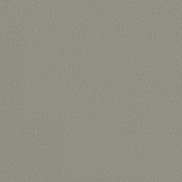 A close-up of Crafted Tone Pet Friendly Carpet in Frosted Sage shows its textured, fine grain pattern—engineered for durability and easy stain resistance.