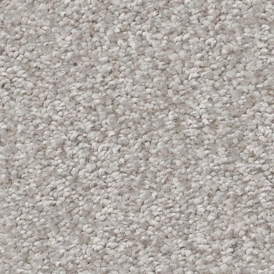 Close-up of You Got This III Pet Friendly Carpet in Frozen color, featuring a looped texture with tightly woven fibers. The soft, uniform surface is ideal for modern homes or offices seeking stylish and comfortable flooring.