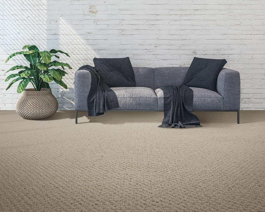 A modern living room with a gray sofa, two dark cushions, and a dark throw blanket, next to a large potted plant. The room features a white brick wall and beige textured carpet flooring.