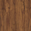 Gold Coast Acacia