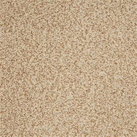 Close-up of Harbor Town Family Friendly Carpet in Gallery color, featuring short, densely packed fibers for a plush, soft texture and family-friendly durability with a subtle speckled look.