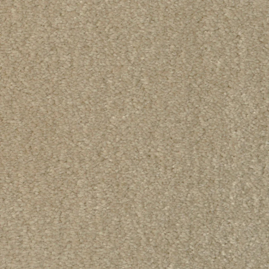 Close-up of Seduction On Trend Carpet in Gallery Taupe, featuring a soft, uniform looped pile—perfect for those needing durable yet comfortable luxury flooring.