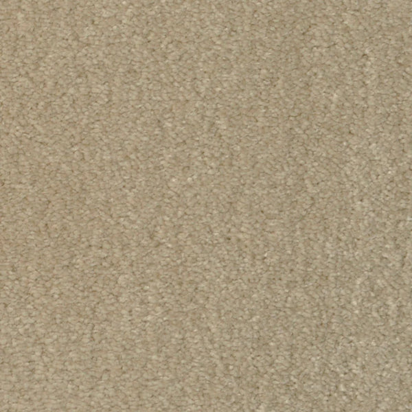 Close-up of Seduction On Trend Carpet in Gallery Taupe, featuring a soft, uniform looped pile—perfect for those needing durable yet comfortable luxury flooring.