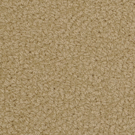 Close-up view of Savant Berber Carpet in Gamm color, showcasing a loop pile pattern with tightly woven fibers for a soft, uniform look—ideal durable flooring for high-traffic areas.
