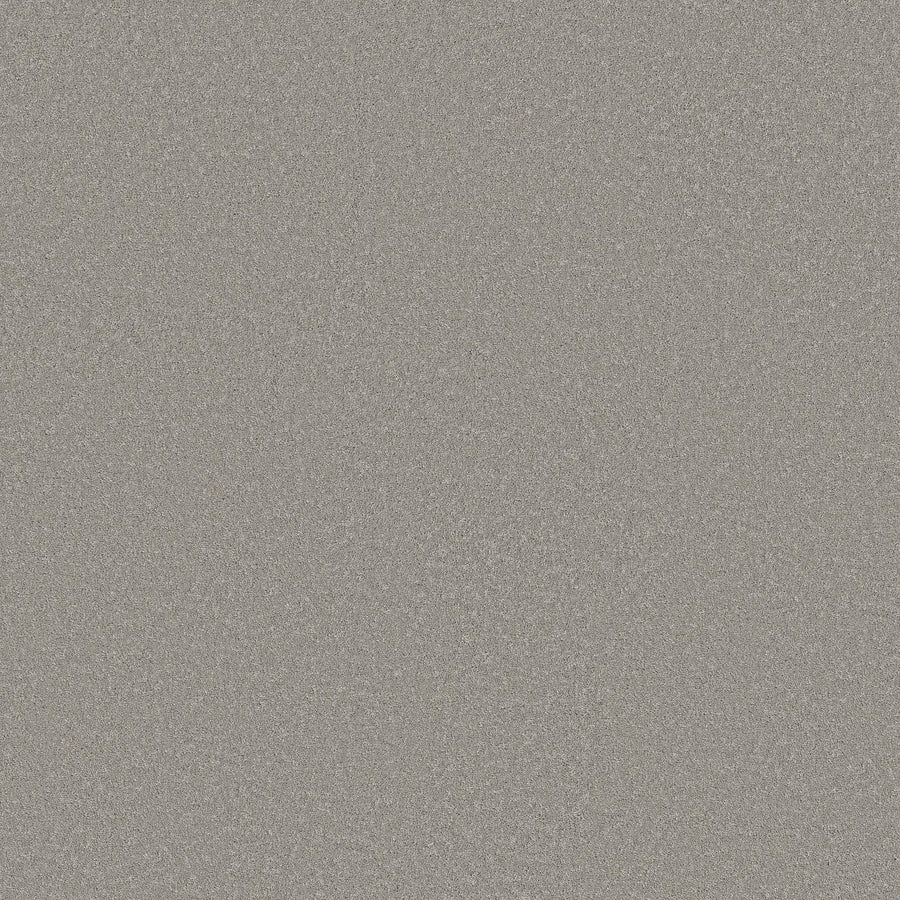 A close-up of the Classic Tone Blue Pet Friendly Carpet in Gateway Gray shows its densely packed, silver-gray specks for a shimmering, reflective surface and a pet-friendly, durable finish.