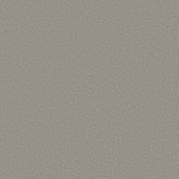A close-up of the Classic Tone Blue Pet Friendly Carpet in Gateway Gray shows its densely packed, silver-gray specks for a shimmering, reflective surface and a pet-friendly, durable finish.