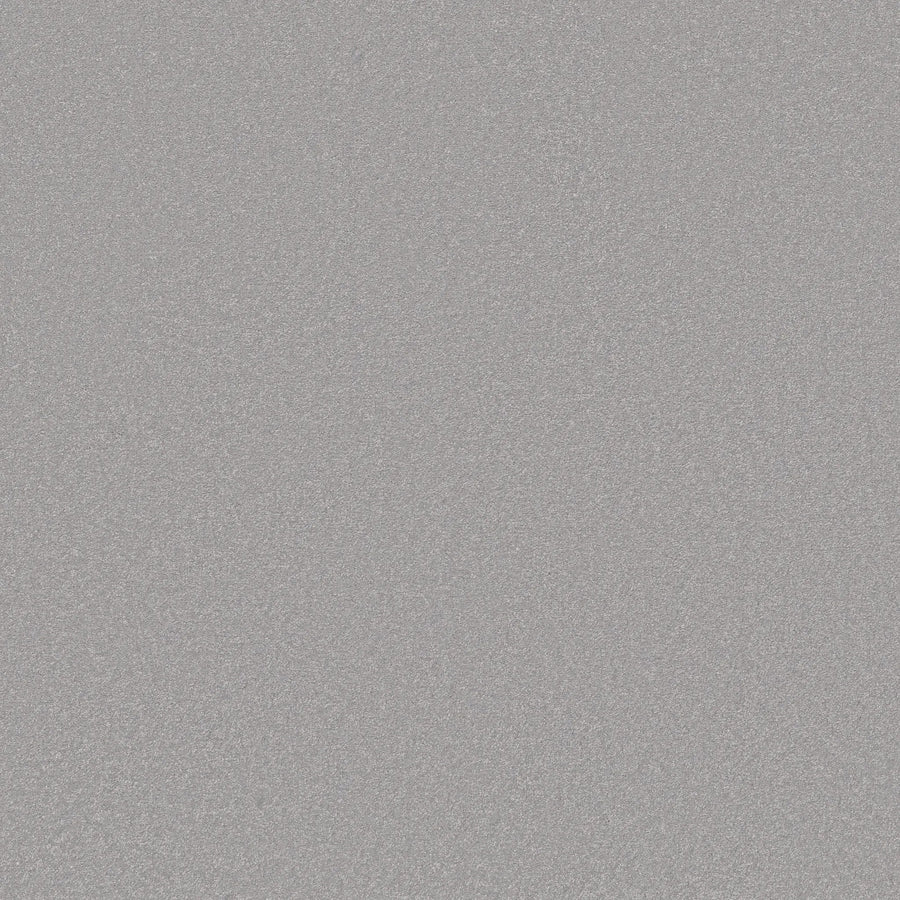 Close-up view of the Awaken Spirit Pet Friendly Carpet in Gentle color, featuring a textured silver-gray surface that sparkles and shimmers, adding a touch of contemporary style.
