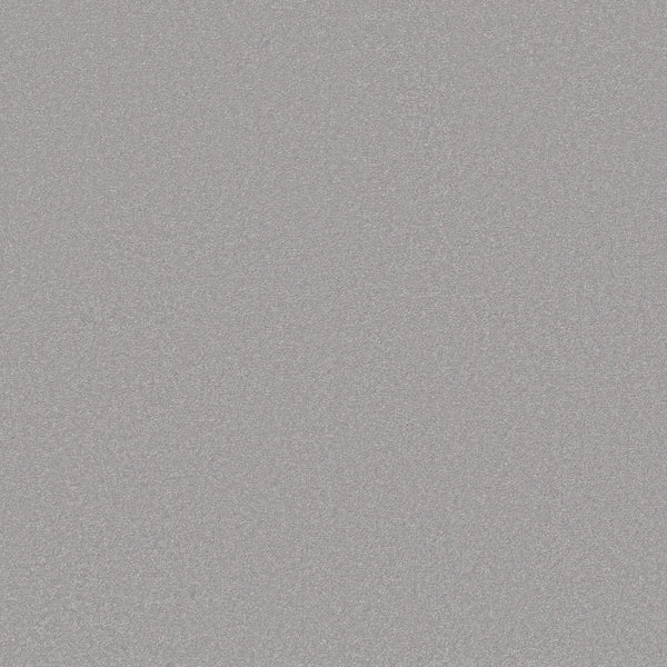 Close-up view of the Awaken Spirit Pet Friendly Carpet in Gentle color, featuring a textured silver-gray surface that sparkles and shimmers, adding a touch of contemporary style.