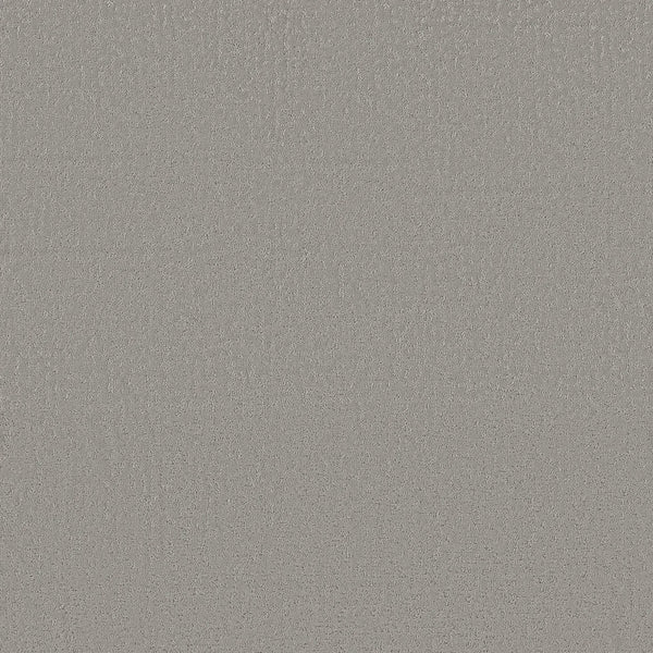 Crafted Tone Pet Friendly Carpet in Gateway Gray offers a smooth, light gray surface with a fine grain pattern—combining stylish looks and durable, pet-friendly performance for any space.