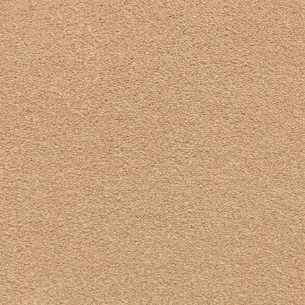 Close-up of Grand Isle Family Friendly Carpet in Gettysburgh, showcasing its soft, uniform beige texture ideal for family spaces.
