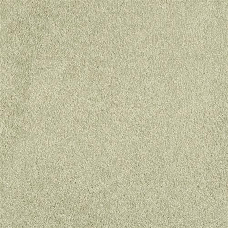 A close-up of Oceanside Family Friendly Carpet in Glade shows fine, light beige fibers with a smooth, plush texture and subtle color variations, resembling silky sand with tiny grains for an inviting look.