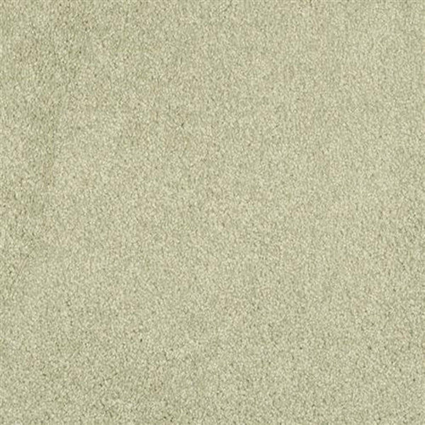 A close-up of Oceanside Family Friendly Carpet in Glade shows fine, light beige fibers with a smooth, plush texture and subtle color variations, resembling silky sand with tiny grains for an inviting look.