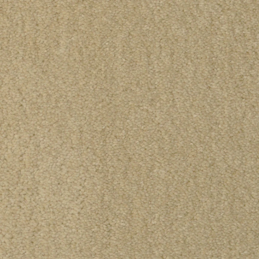Close-up of Seduction On Trend Carpet in Glamour color, featuring a textured, looped pile. The soft fibers form a uniform pattern, emphasizing its inviting look and durable luxury—ideal for stylish flooring solutions.
