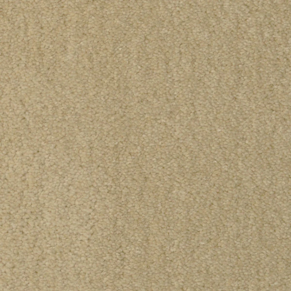Close-up of Seduction On Trend Carpet in Glamour color, featuring a textured, looped pile. The soft fibers form a uniform pattern, emphasizing its inviting look and durable luxury—ideal for stylish flooring solutions.