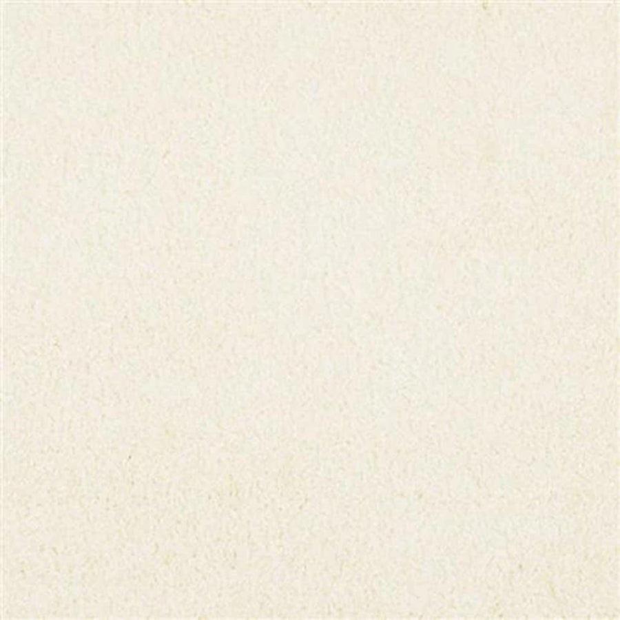 A close-up of Oceanside Family Friendly Carpet in Glimmer shows a smooth, subtly textured off-white surface, perfect for adding warmth and comfort to any space with its durable, family-friendly design.