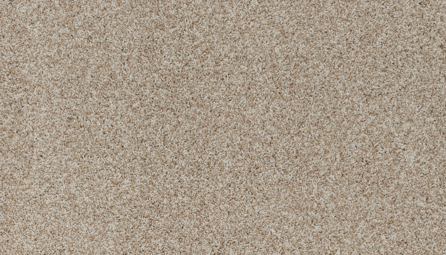 Close-up of Aurelia Pet Friendly Carpet in beige, featuring dense, soft, and slightly speckled fibers. Its tightly packed texture creates a cozy, neutral background—perfect for premium flooring in any home.