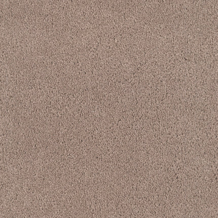Close-up of Tribute Family Friendly Carpet in Gramercy, featuring a light brown, textured, stain-resistant surface with soft, durable fibers—creating a fuzzy, even pattern ideal for family spaces.