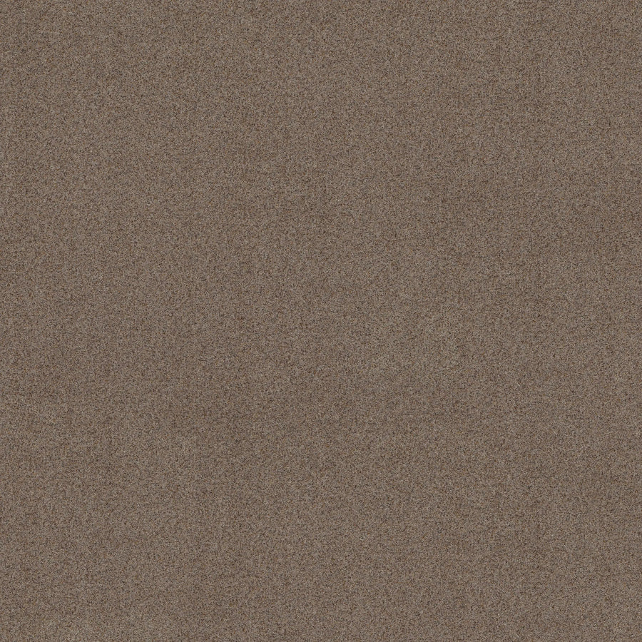 Close-up view of Canyon Lake Family Friendly Carpet in Granite color, featuring a consistent textured brown surface and fine, durable grainy pattern across the entire image.