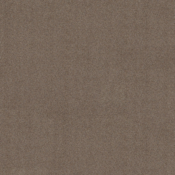 Close-up view of Canyon Lake Family Friendly Carpet in Granite color, featuring a consistent textured brown surface and fine, durable grainy pattern across the entire image.